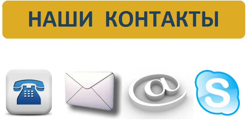 контакты